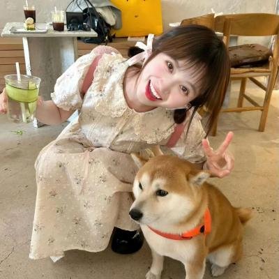 滨虎第二季